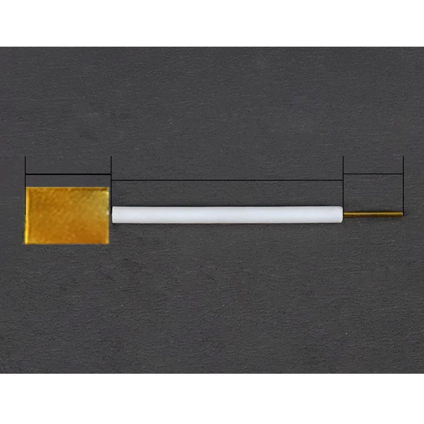 Au Plate Electrode