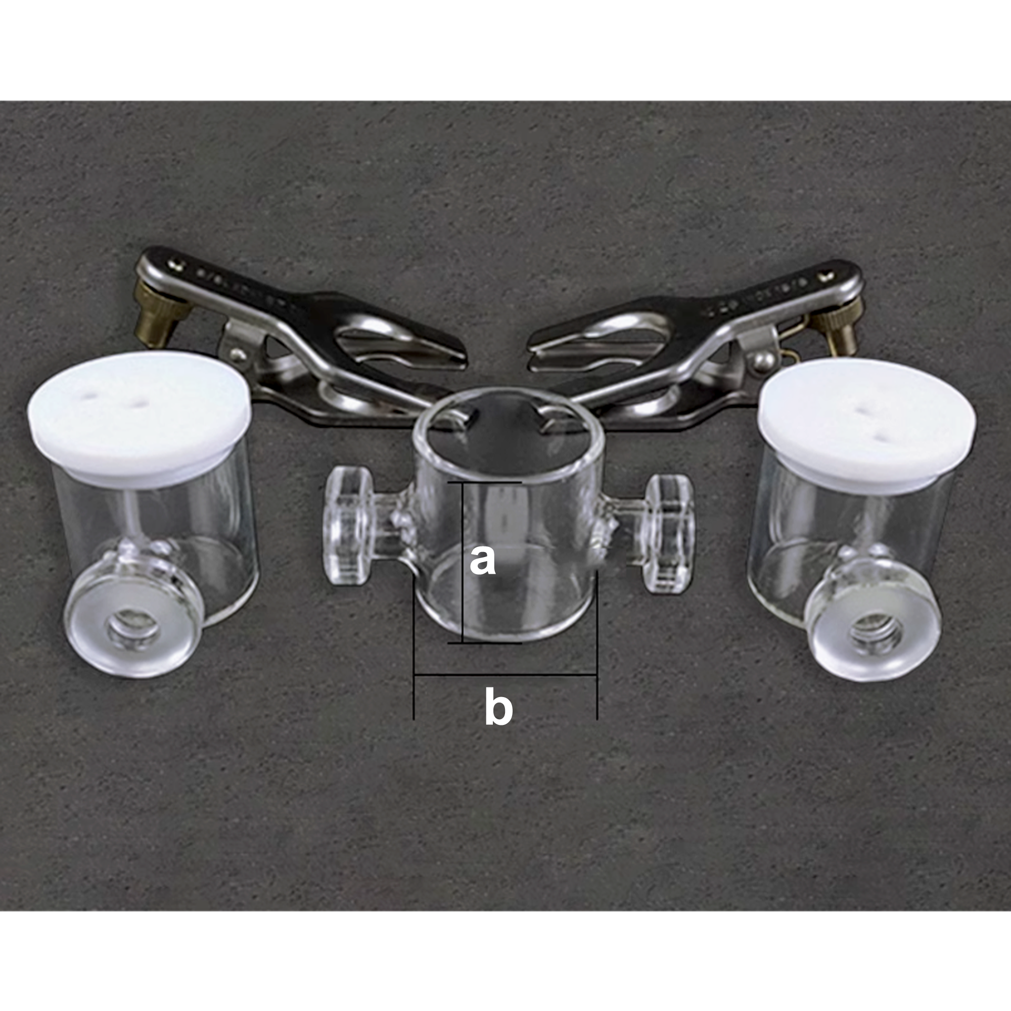 Borosilicate glass Triple Chamber Electrochemical Cell, Sealed/Unsealed